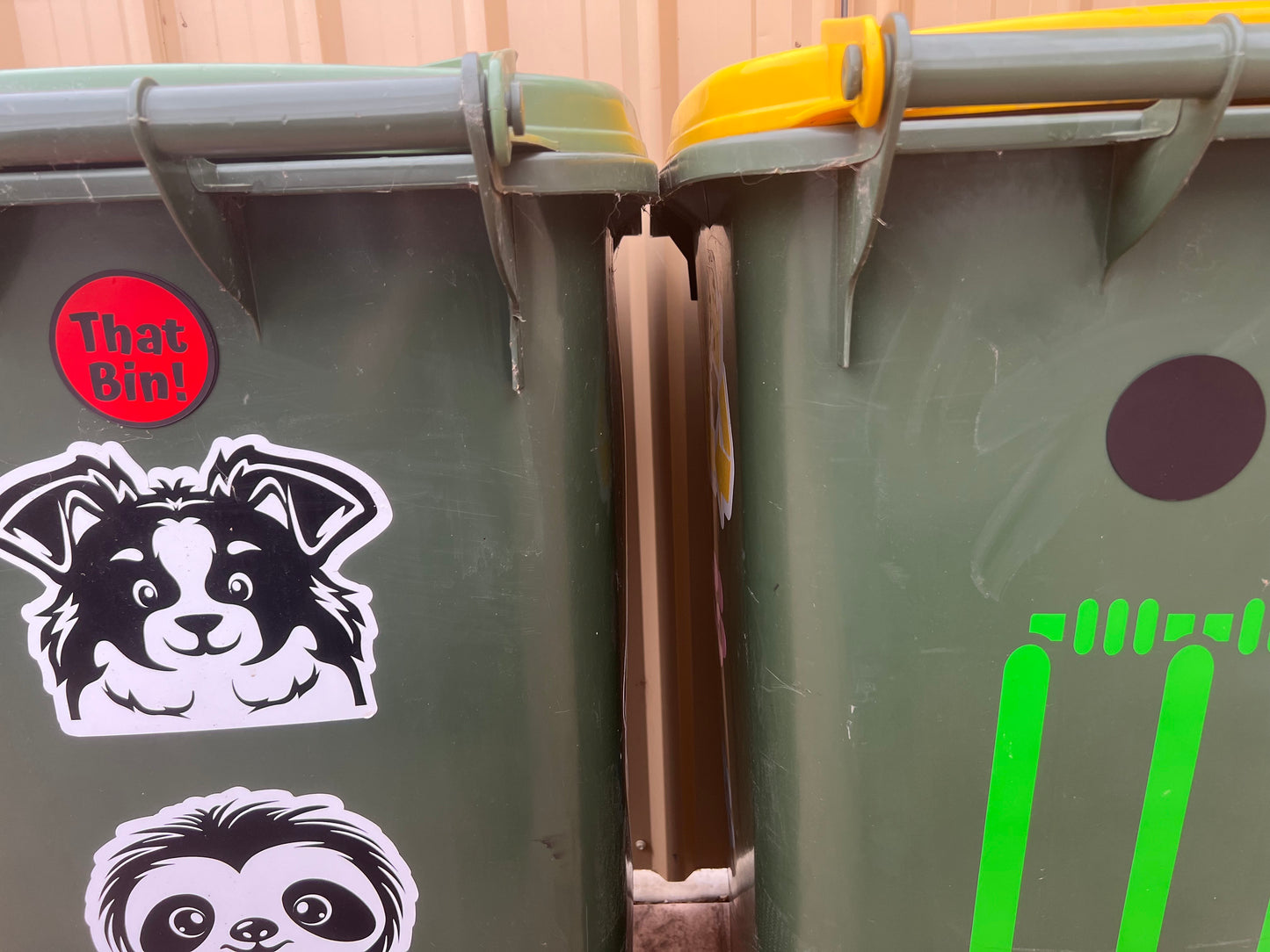 That Bin!