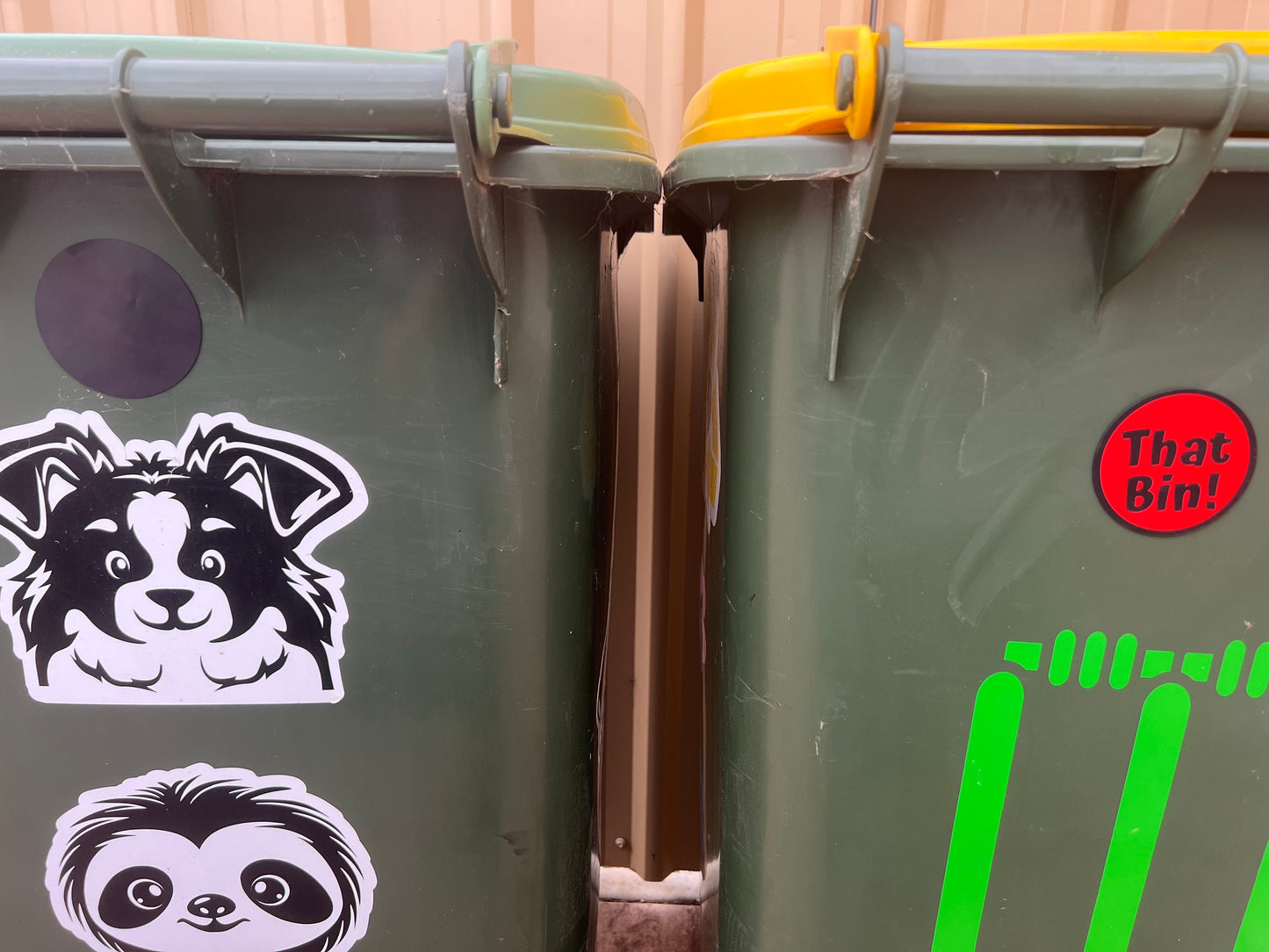 That Bin!
