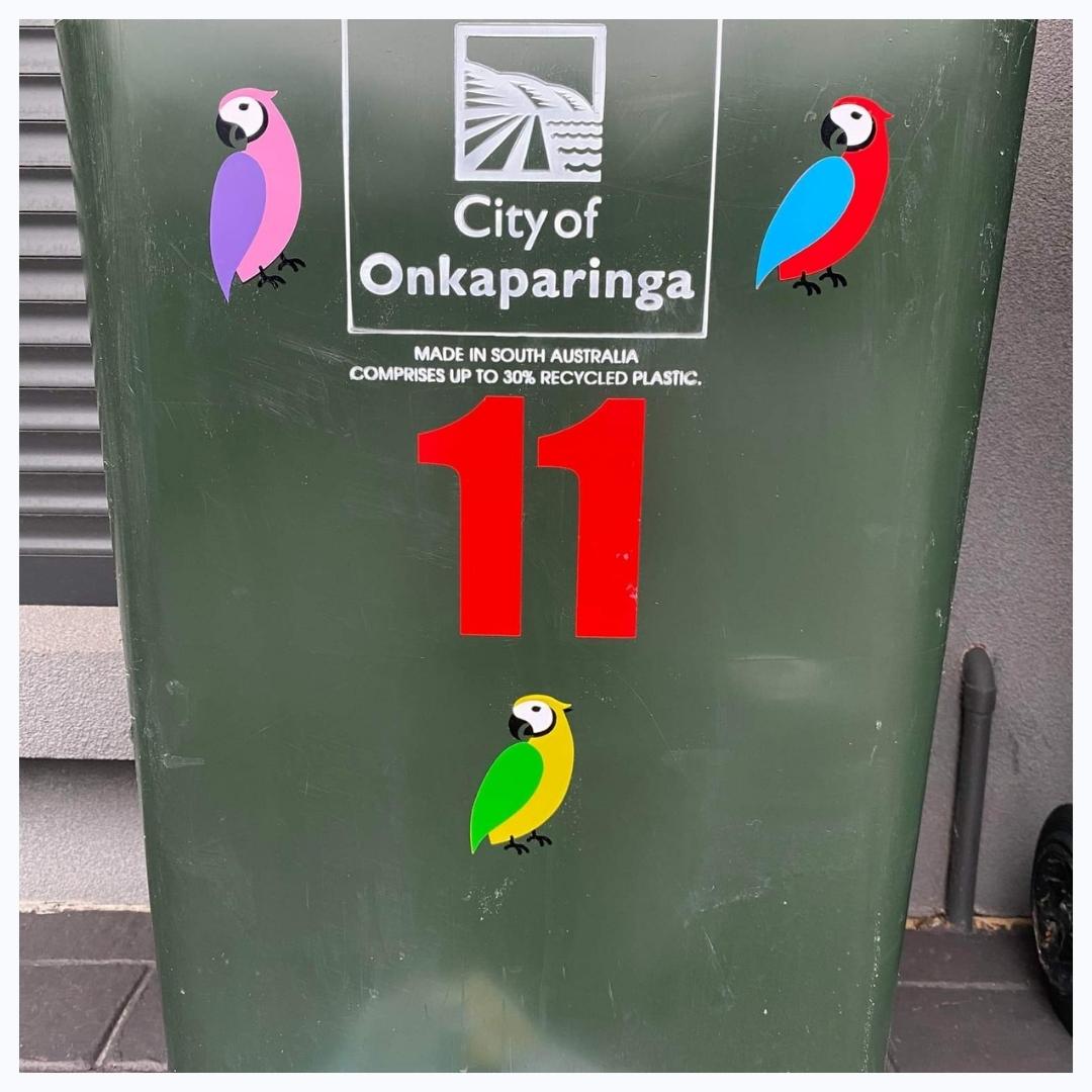 Parrots Stickers - Set of 3